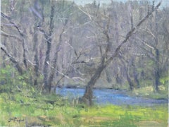 Mountain Spring Study