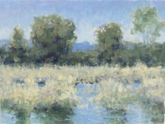 Alter Teich