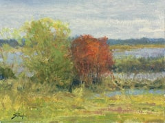 Red Willows