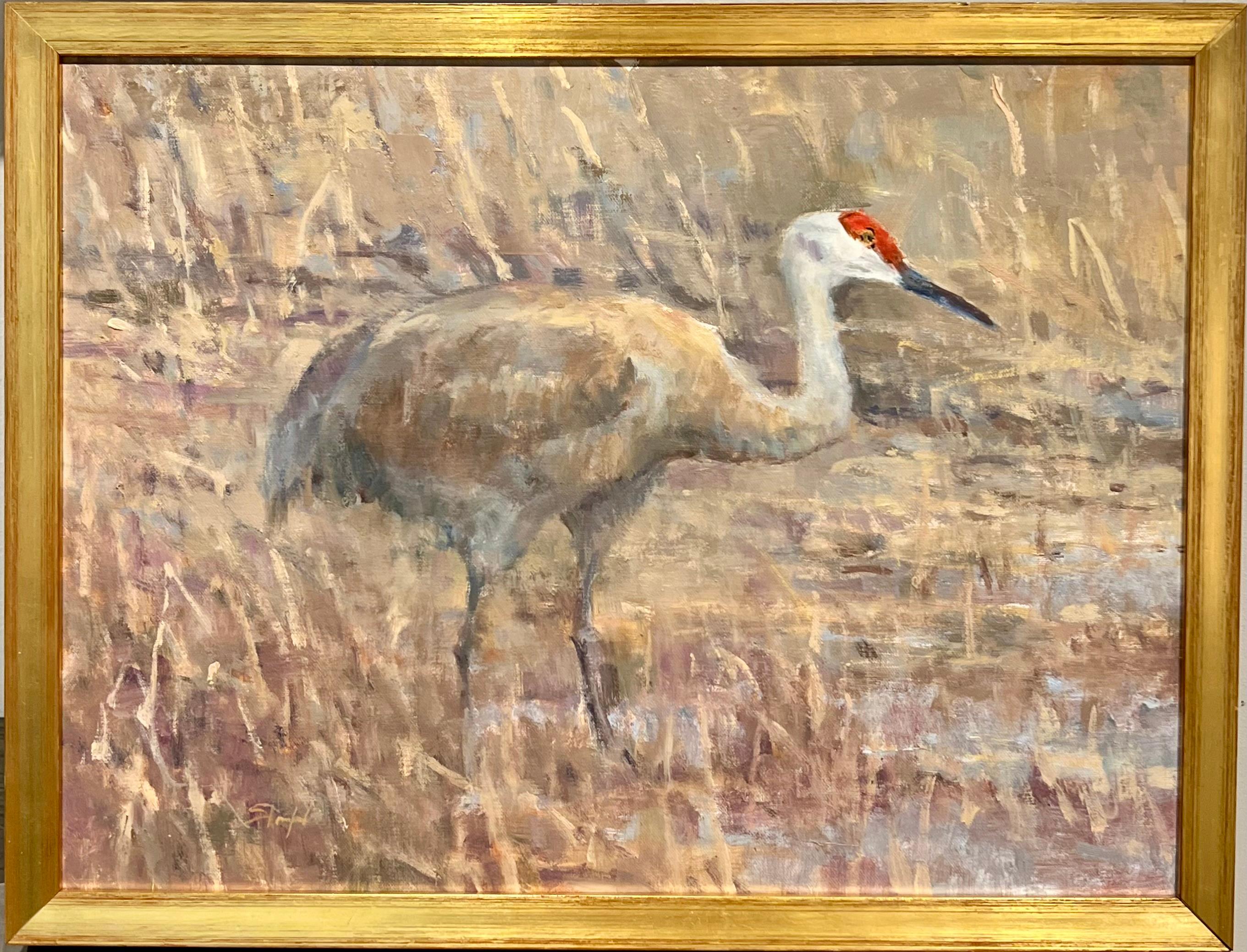 Sandhill Crane, Stalking