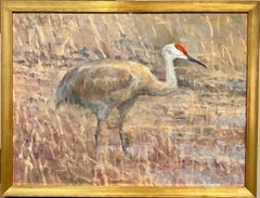 Gru di Sandhill, caccia