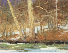 Snow IV