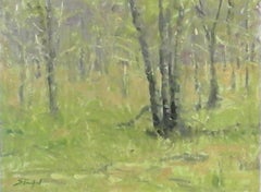 Spring Green Study