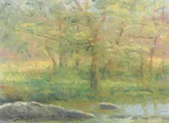 Spring Study