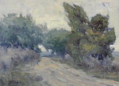 Windy Coastal Study