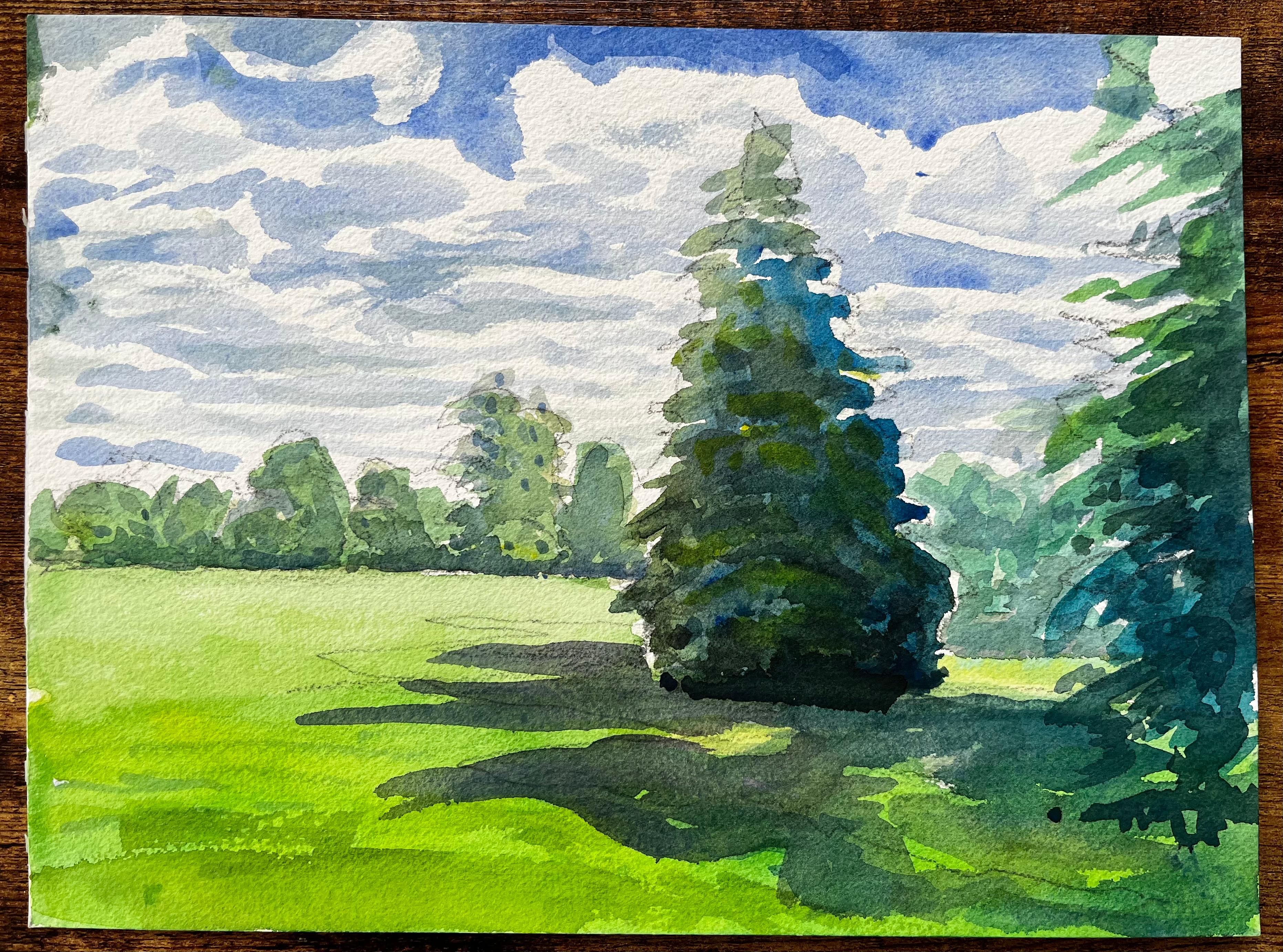 University Parks Oxford Landschaft mit Pinienbaum und Sommerschatten – Art von John Steane (b.1931)