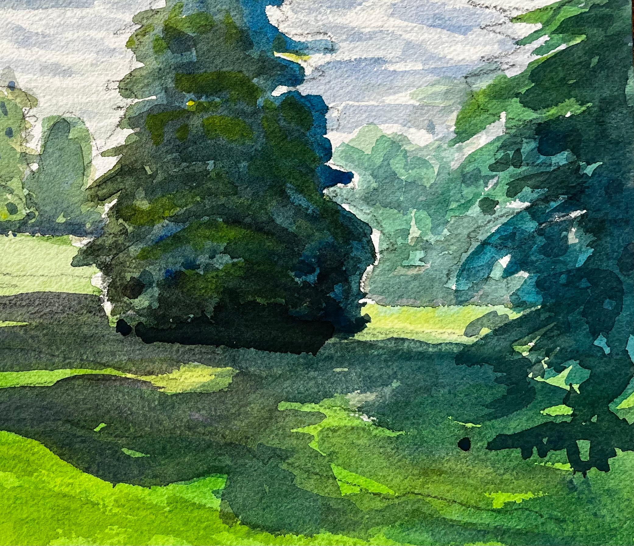 University Parks Oxford Landschaft mit Pinienbaum und Sommerschatten (Impressionismus), Art, von John Steane (b.1931)