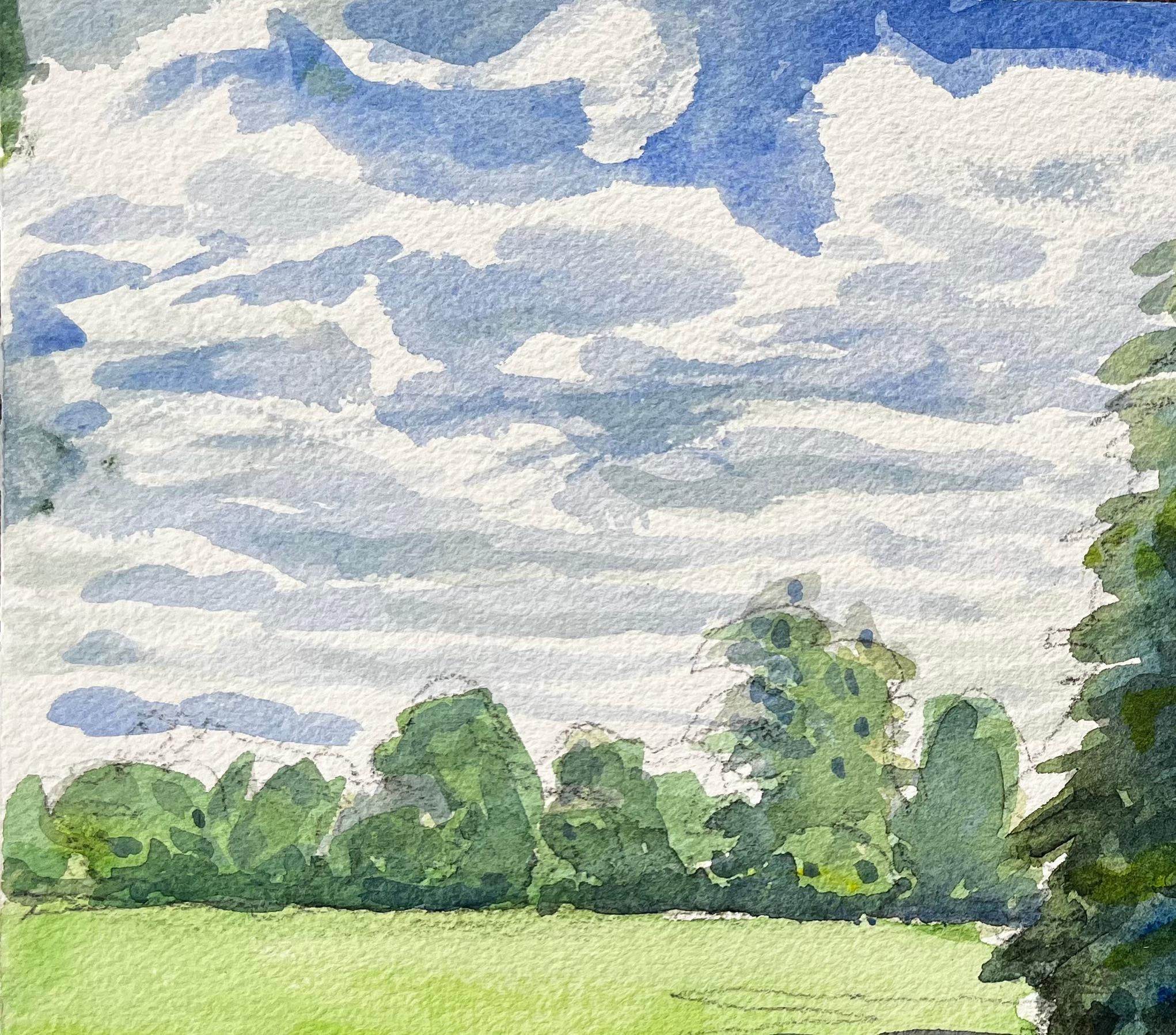 University Parks Oxford Landschaft mit Pinienbaum und Sommerschatten im Angebot 1