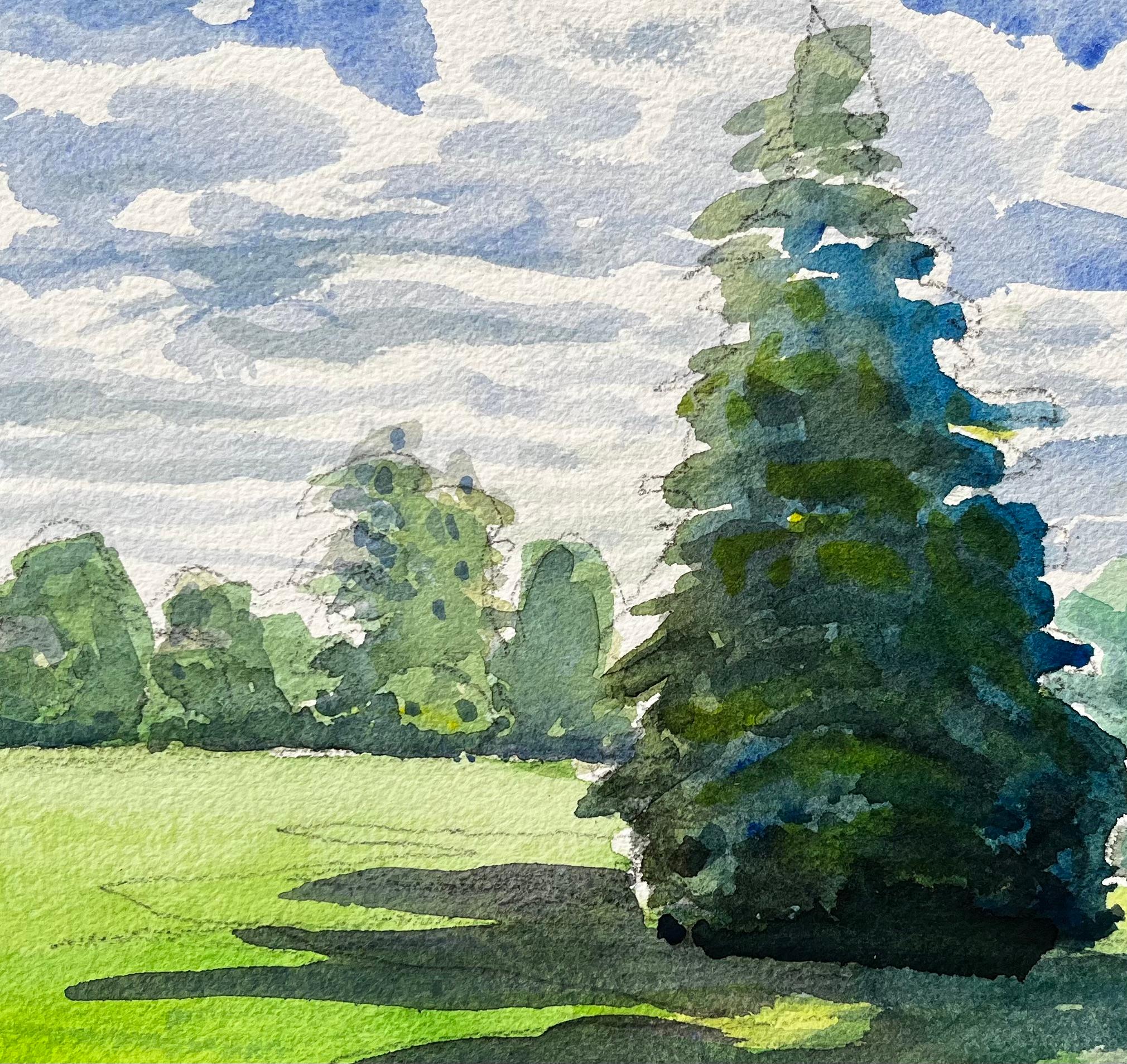 University Parks Oxford Landschaft mit Pinienbaum und Sommerschatten im Angebot 2