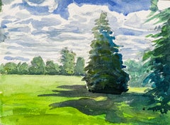 University Parks Oxford Landschaft mit Pinienbaum und Sommerschatten