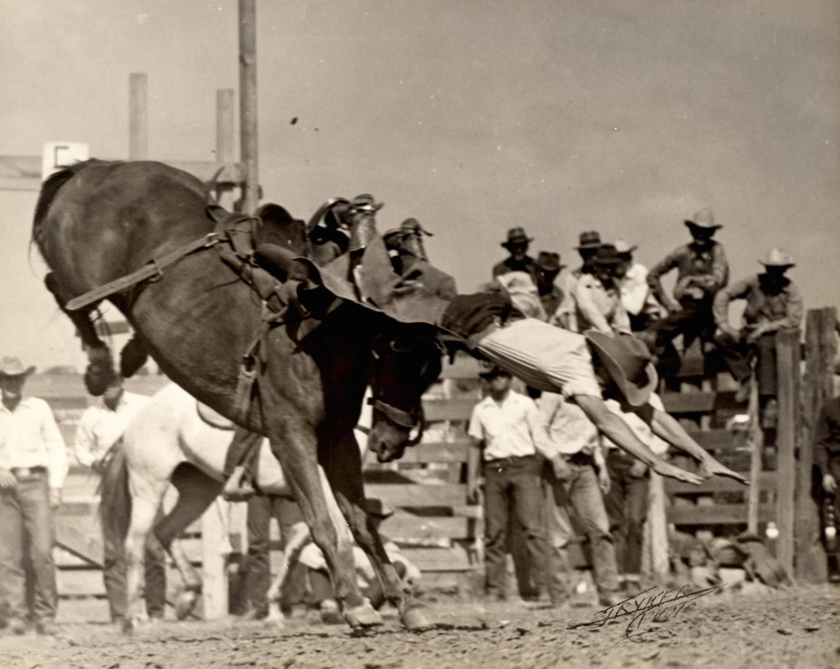John Stryker Portrait Photograph - Wart Boaman divin' fer land on Montana Red & Easy Pickens, Bull Riding