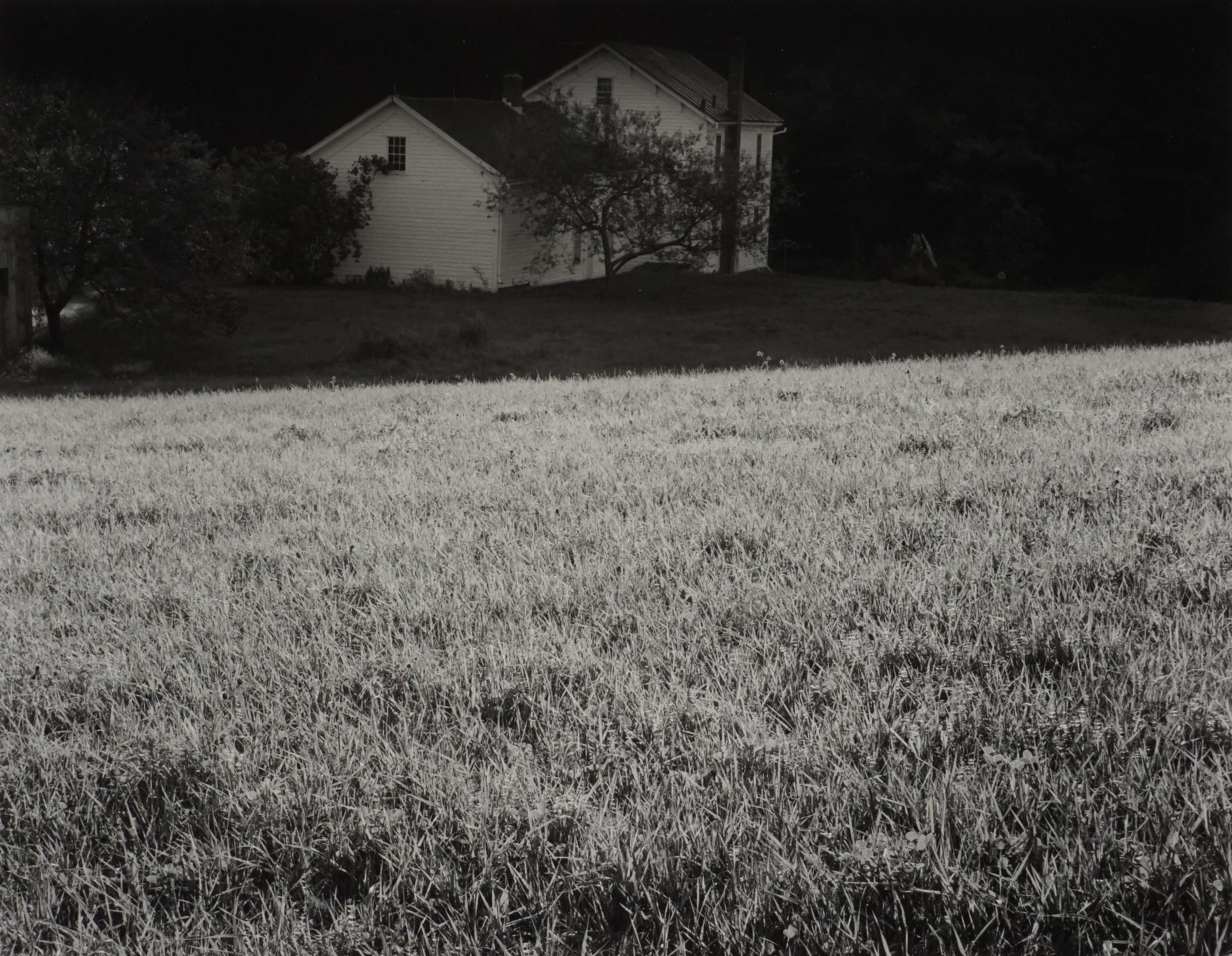Black and White Photograph de John Szarkowski  - Russet amarillo, 1997