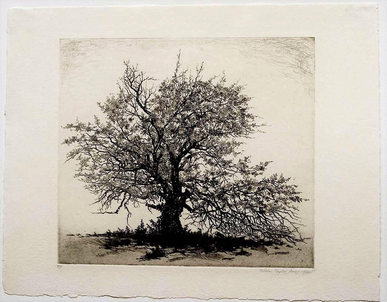 Apple Tree - Print by John Taylor Arms