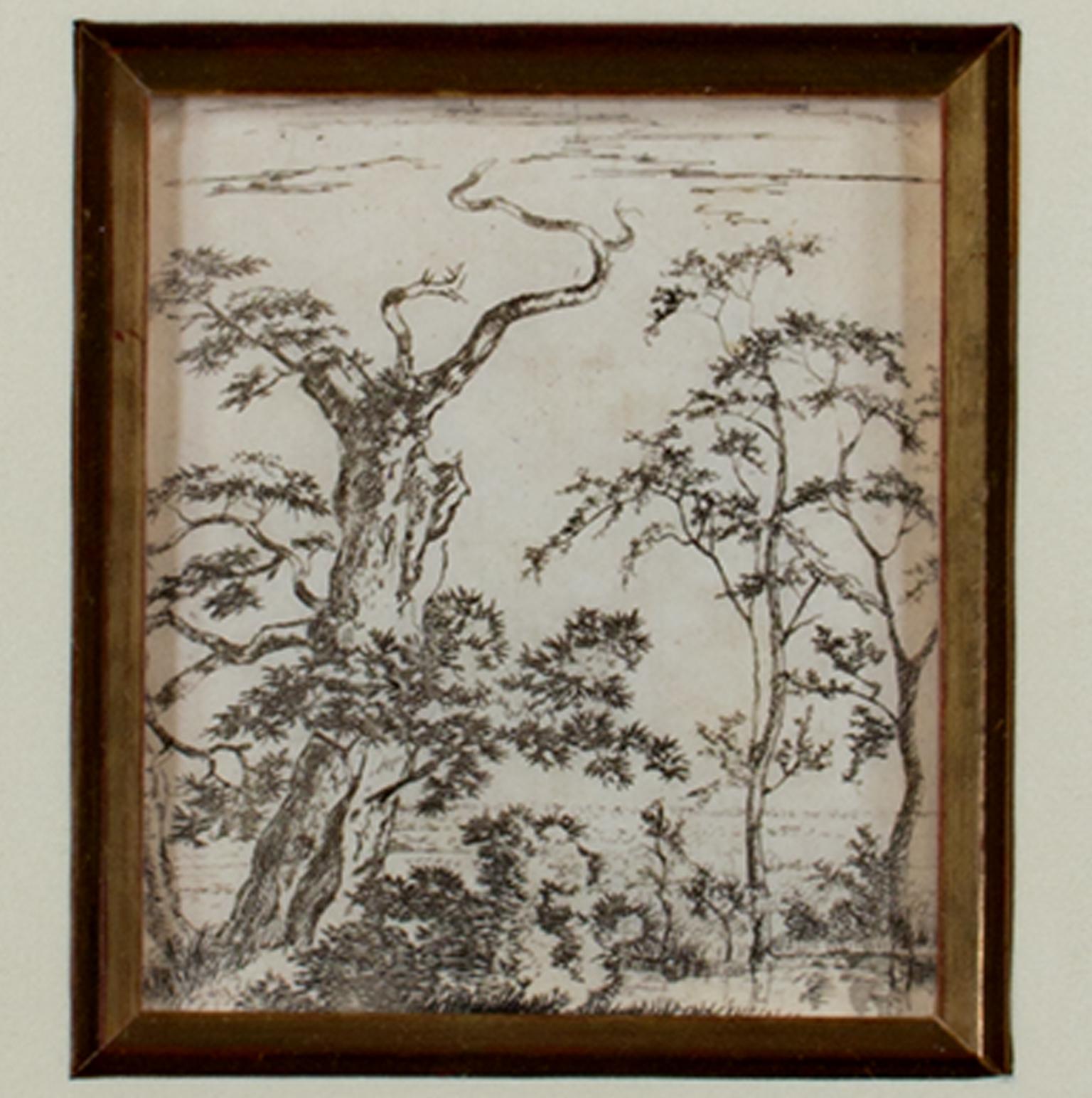 smith tree and landscape