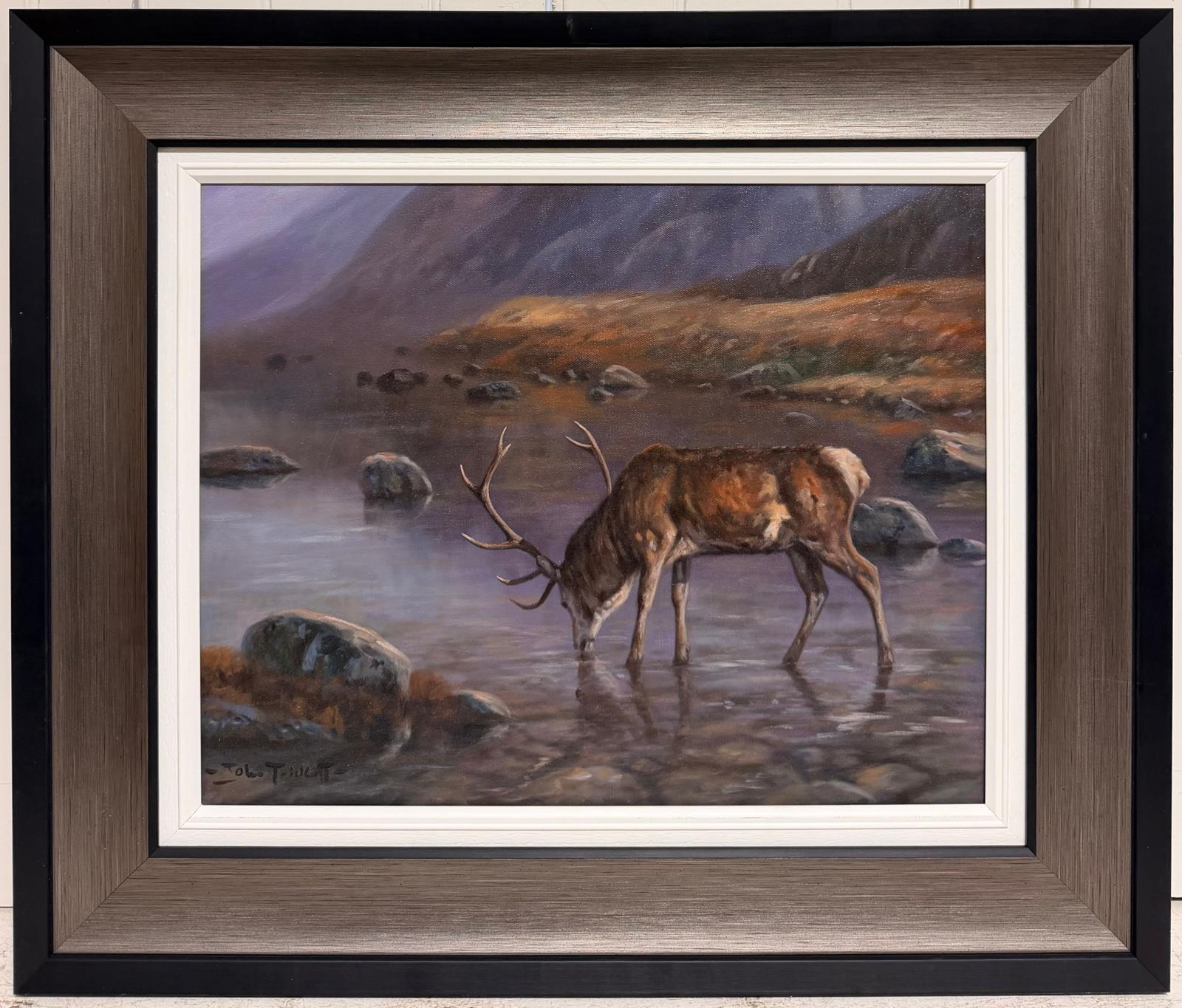 Majestic Scottish Stag in Highland Landscape Signed Original Oil Painting