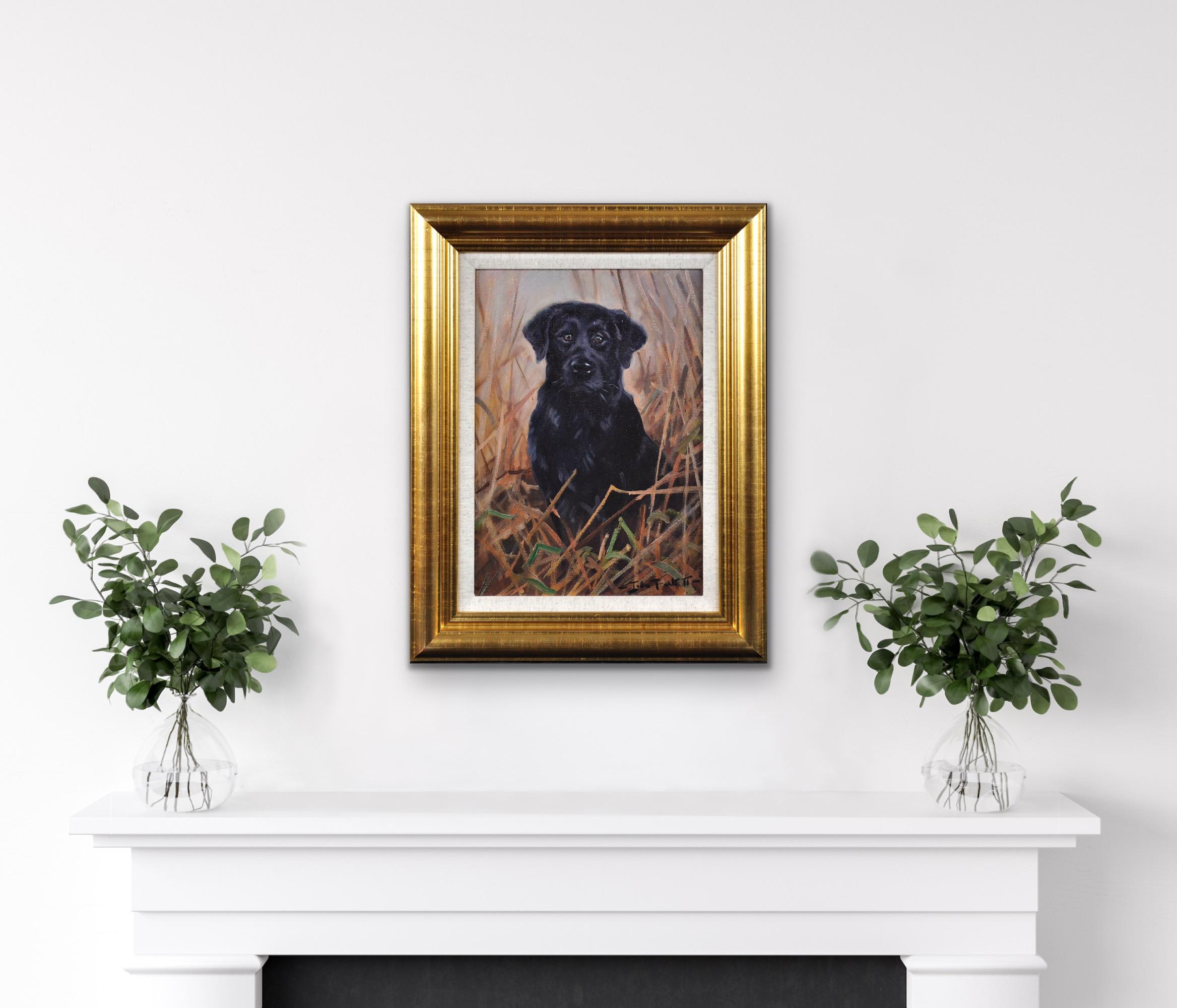 Pittura ad olio originale incorniciata di un Labrador nero in un campo del 20° secolo in vendita 9