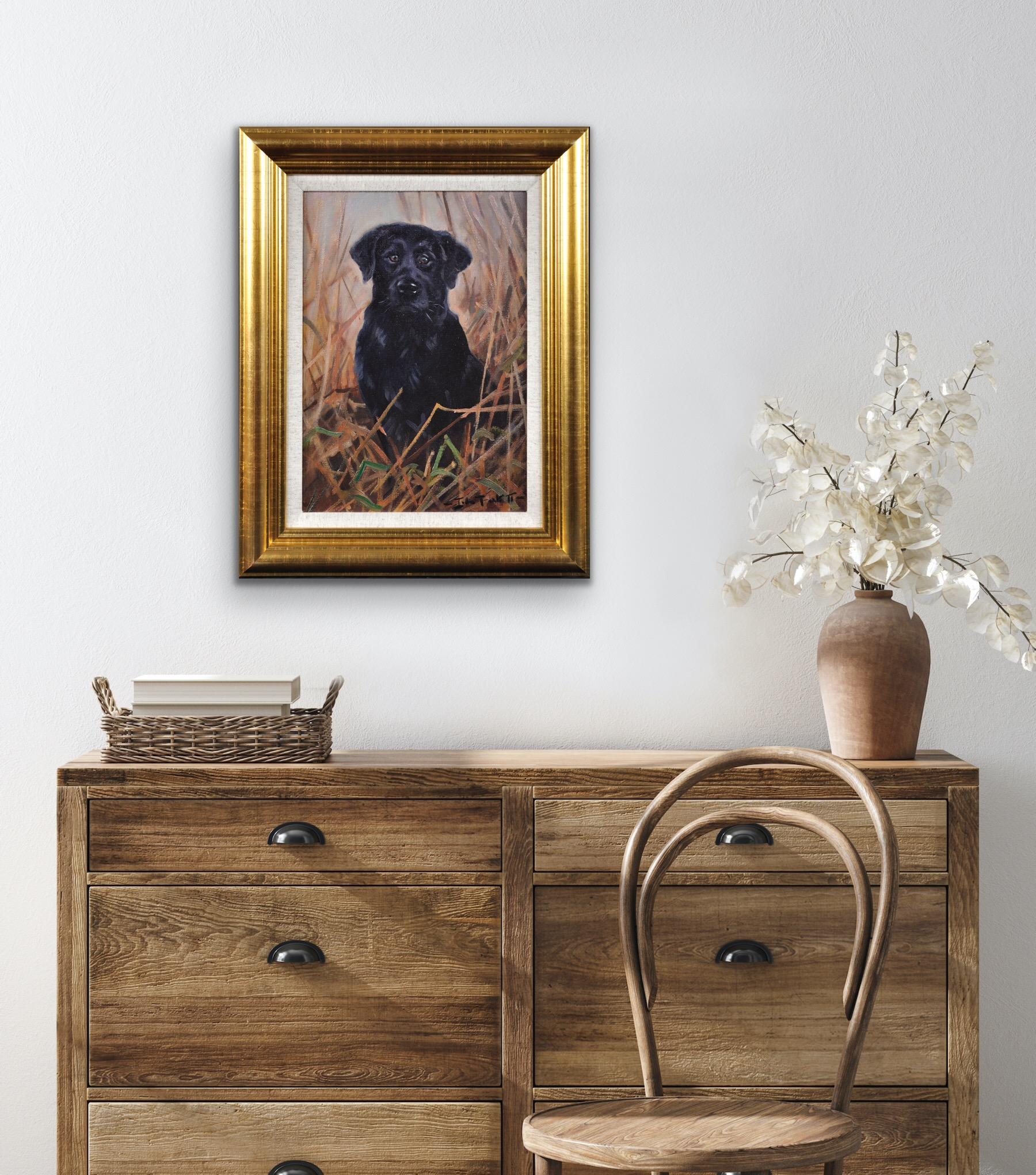 Pittura ad olio originale incorniciata di un Labrador nero in un campo del 20° secolo in vendita 12