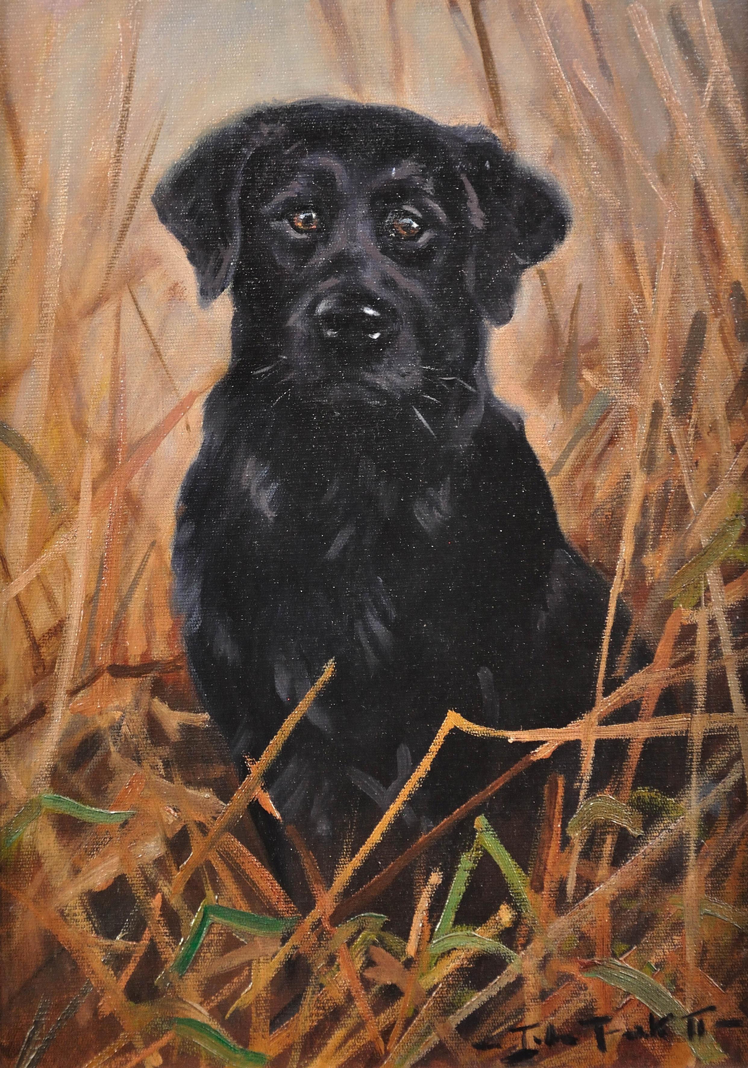 Pittura ad olio originale incorniciata di un Labrador nero in un campo del 20° secolo - Painting di John Trickett