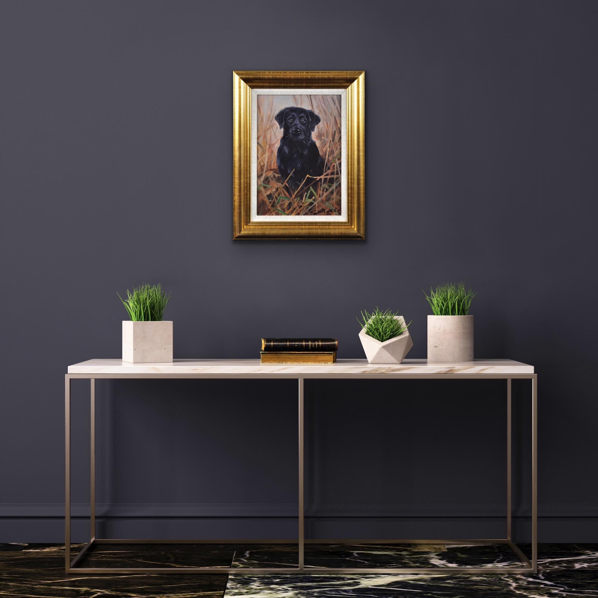 Pittura ad olio originale incorniciata di un Labrador nero in un campo del 20° secolo in vendita 1