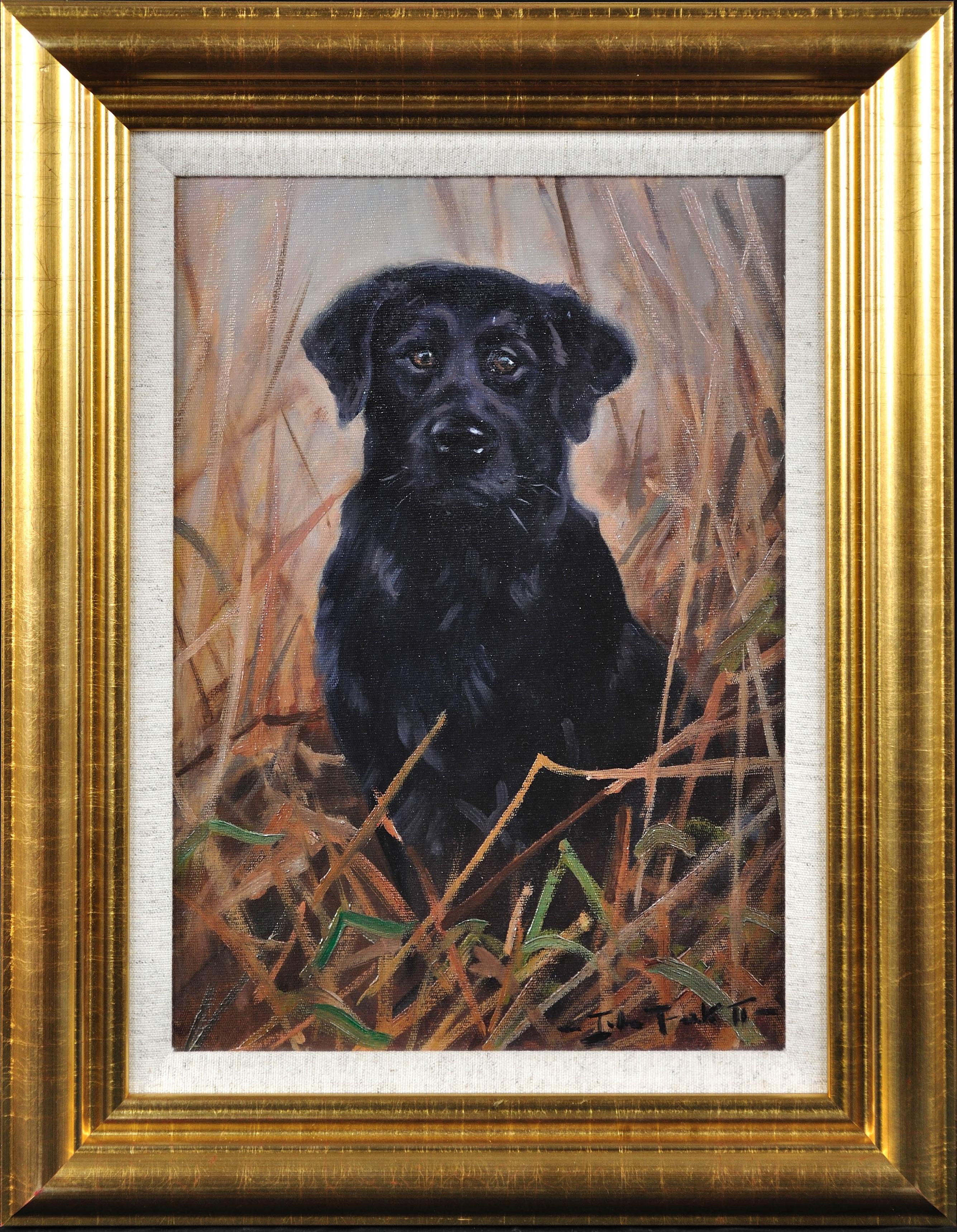 Labrador noir. Peinture à l'huile originale de portrait de chien. John Trickett. Encadré.