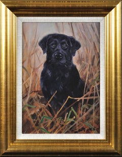 Schwarzer Labrador. Original Hund Ölgemälde Porträt . John Trickett. Gerahmt.
