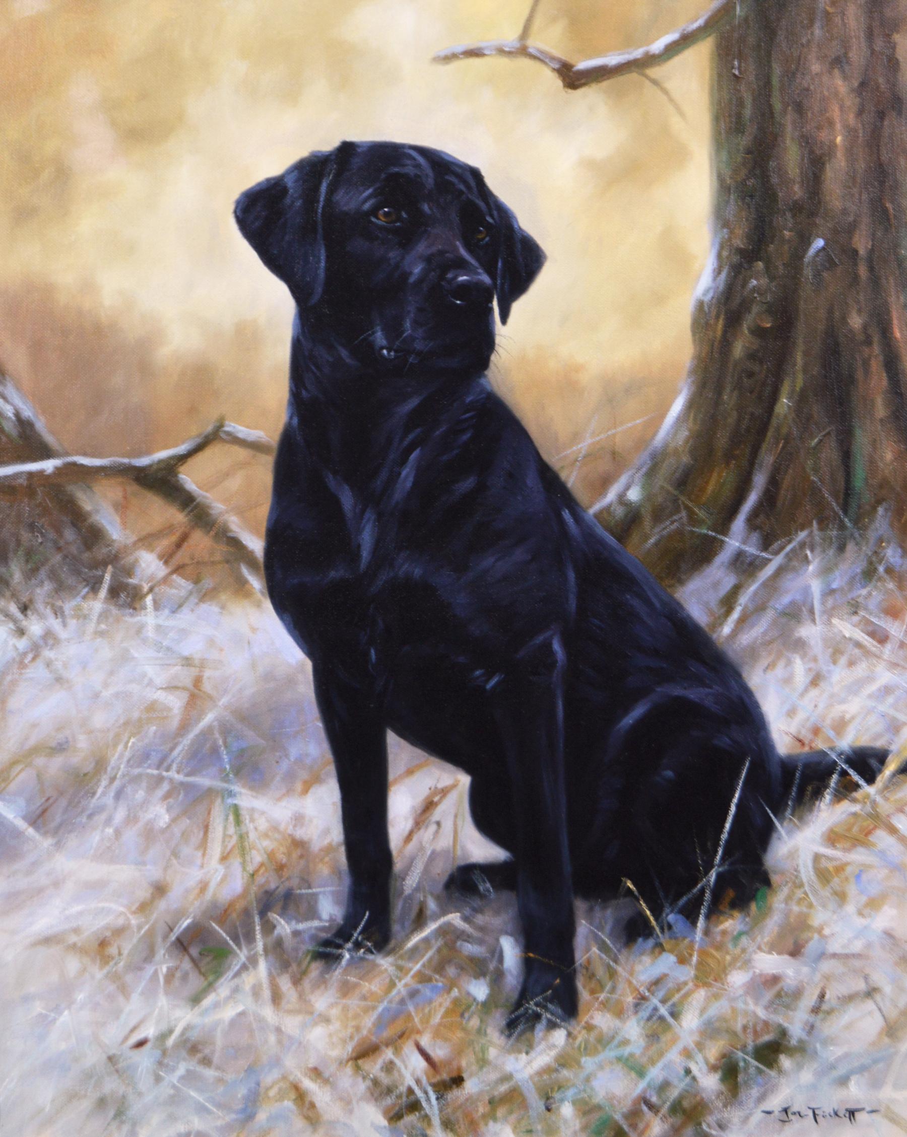 Dog portrait oil painting of a black labrador  - Painting by John Trickett