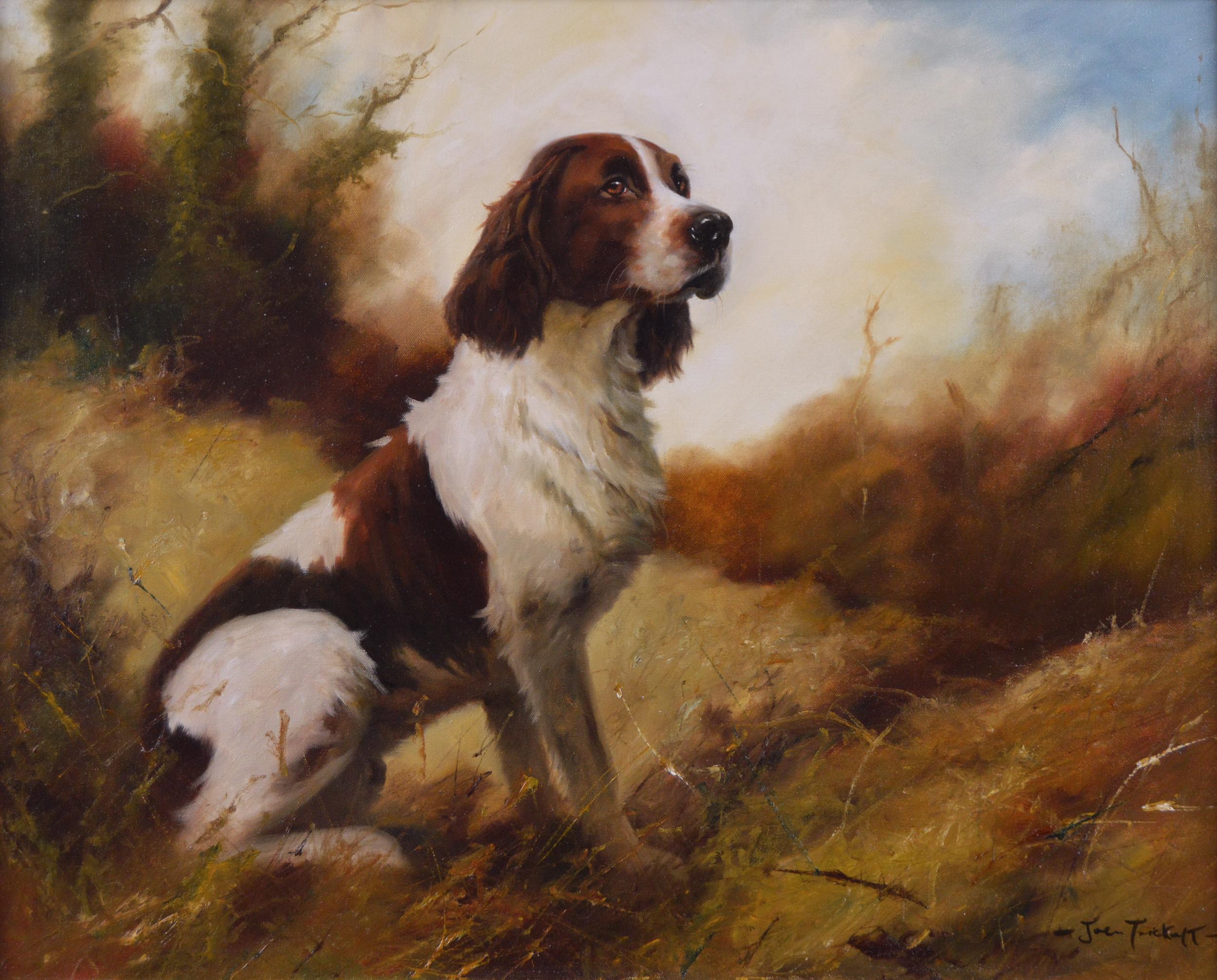 Dog portrait oil painting of a springer spaniel - Painting by John Trickett