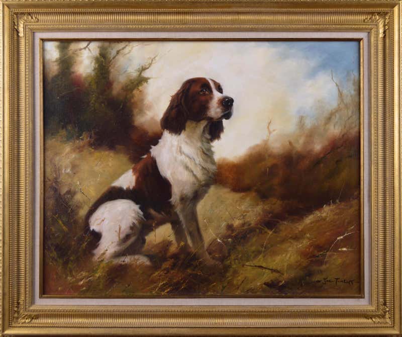 John Trickett - Dog portrait oil painting of a springer spaniel at 1stDibs