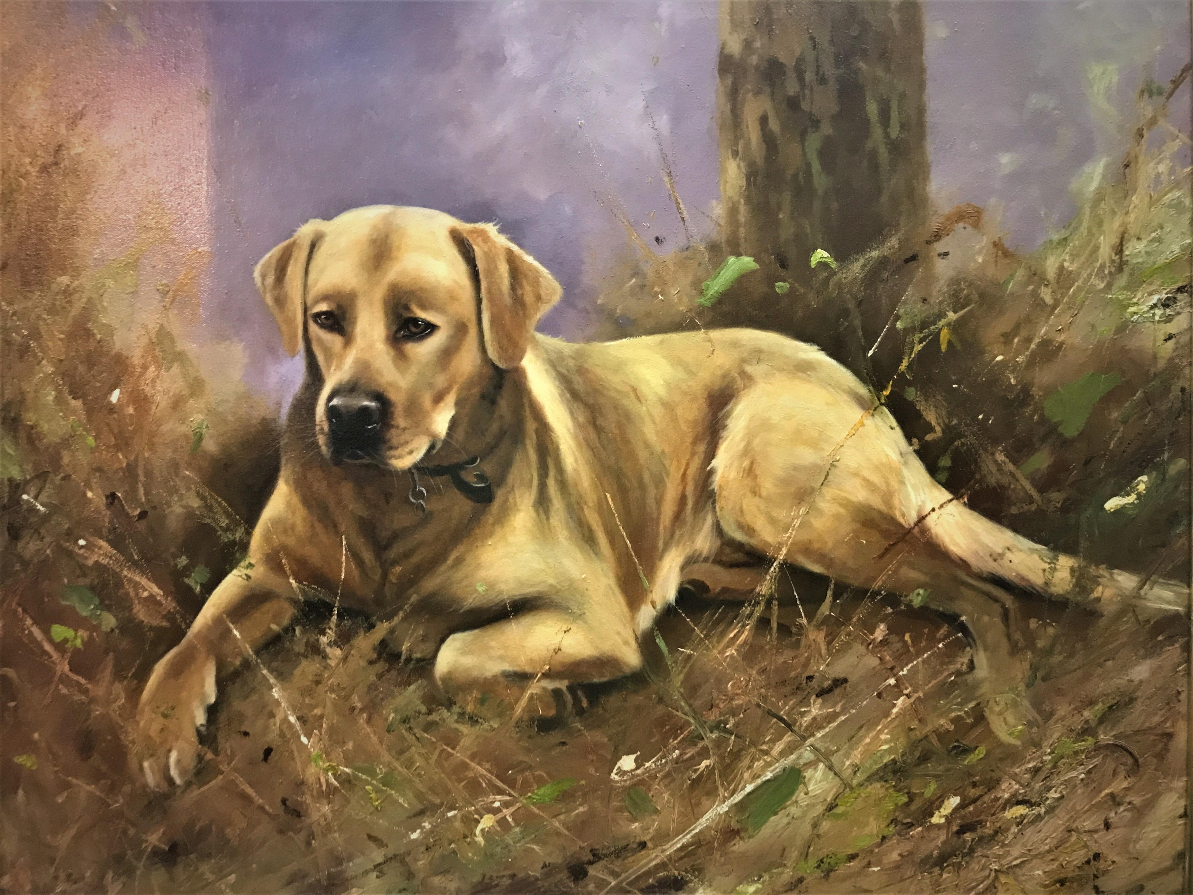 Golden Labrador Resting, original oil on canvas, 20thC British animal artist