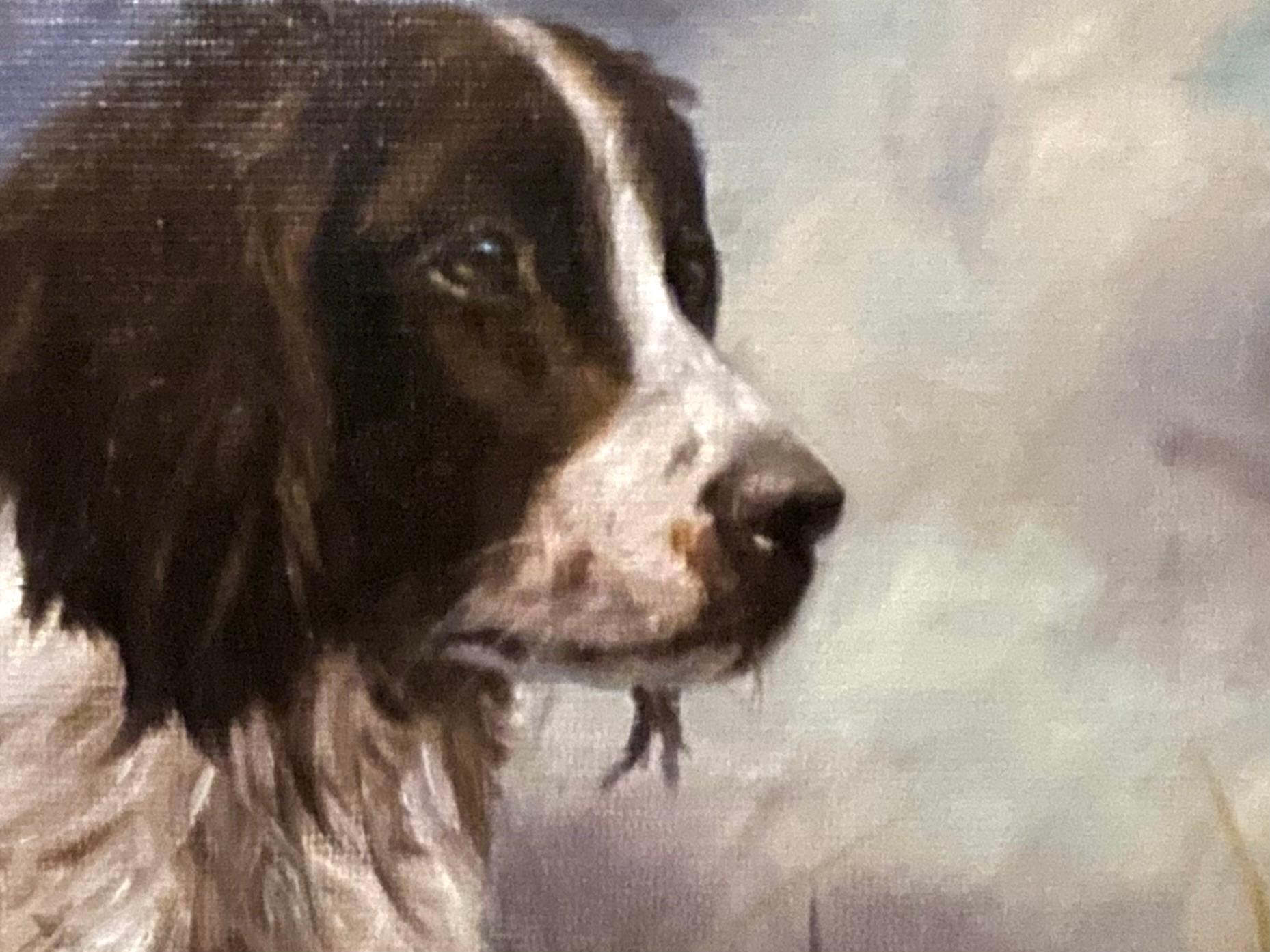 ‘Springer Spaniel in Winter landscape is by British artist John Trickett, known for his paintings of dogs and hunting scenes.  In this painting the black and white Spaniel is looking across a snowy landscape against a grey and clouded wintry sky.