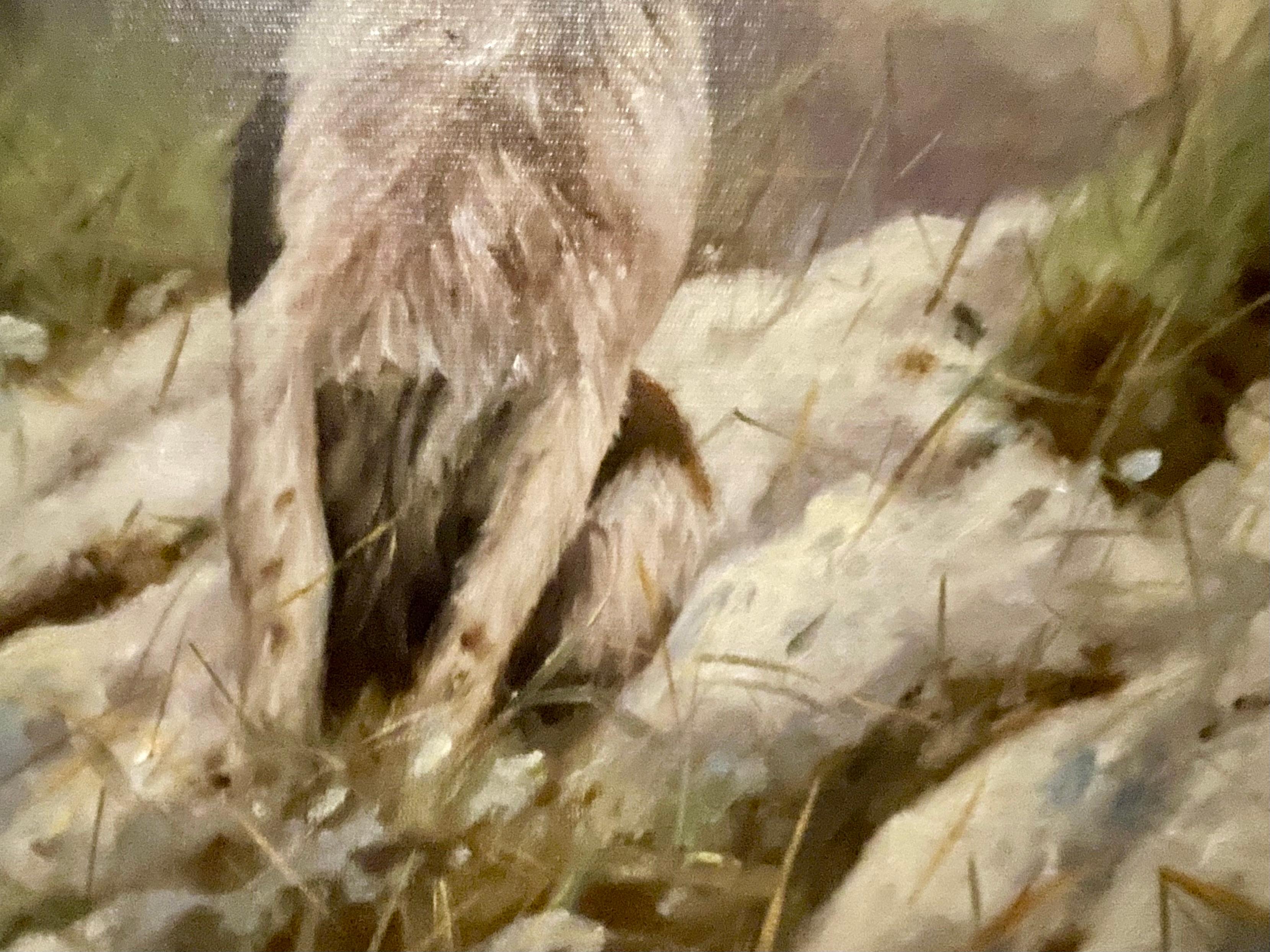 Springer Spaniel in Winter, Oil 20th century 1