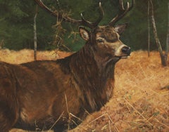 Stag in Woodland Landscape Beautiful Autumn Colours - Original Oil Painting