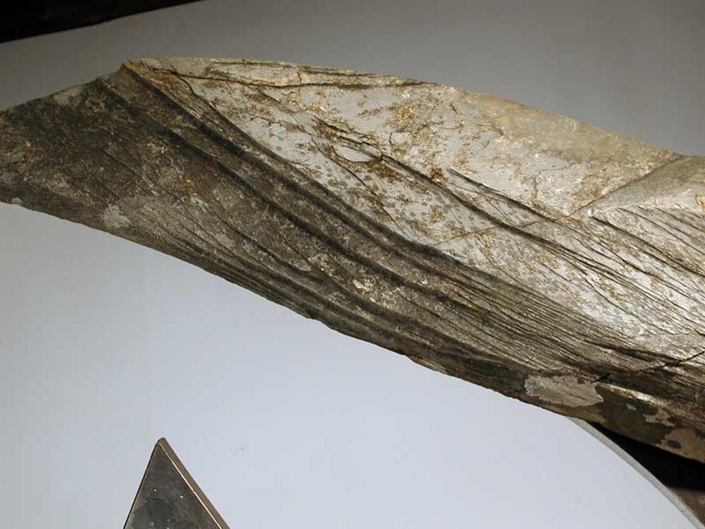 John Van Alstine - Icarus (ailes encadrées de la vanité), sculpture 2010 en vente 2