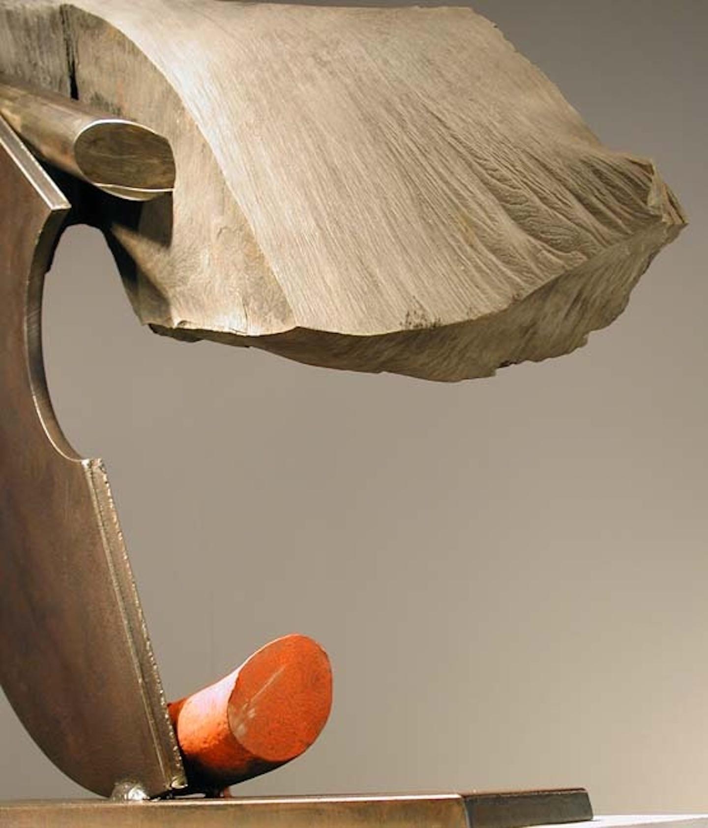 John Van Alstine - Lunge IV (Coda Rossa), Scultura 2006 in vendita 2