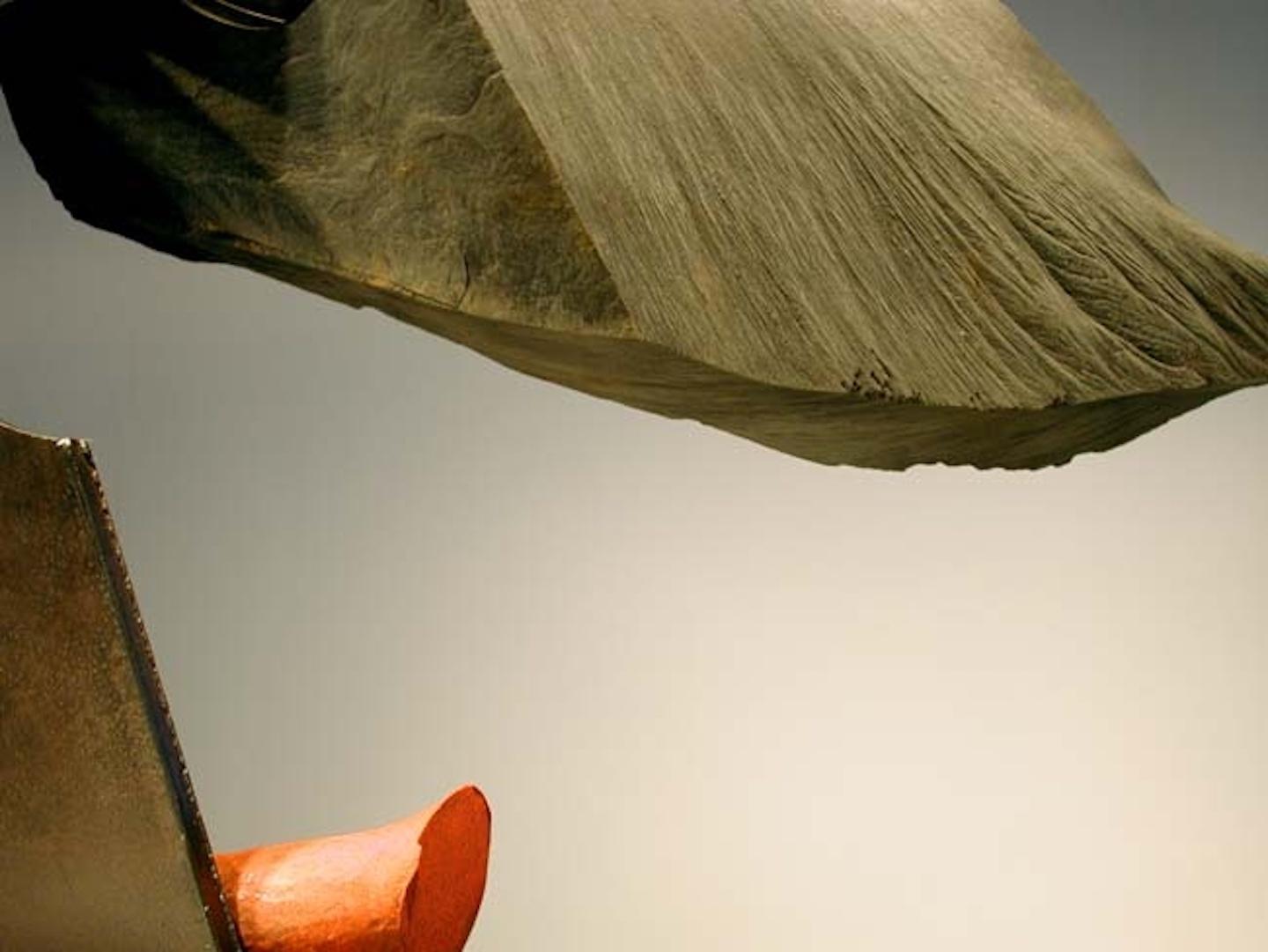 John Van Alstine - Lunge IV (Coda Rossa), Scultura 2006 in vendita 4