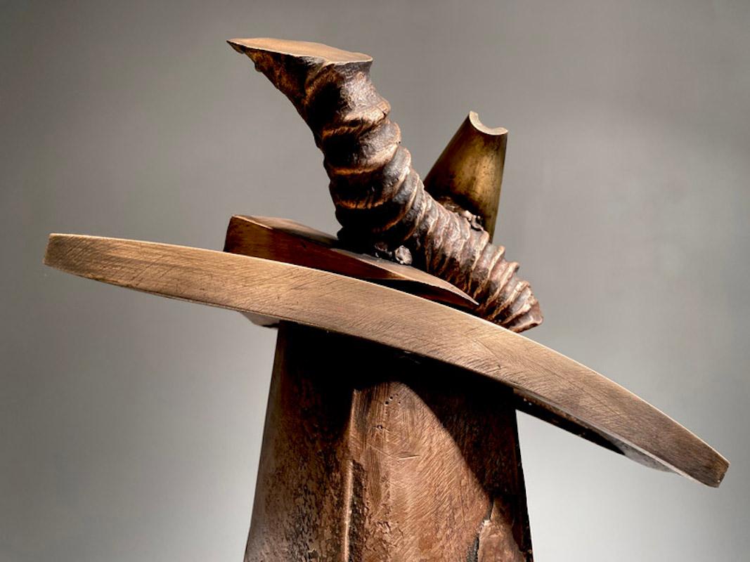 John Van Alstine, Pyxis Awry (Plunge X), Sculpture 2021 For Sale 2