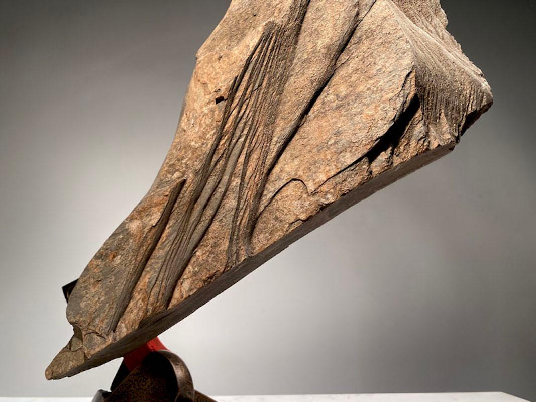 John Van Alstine, Desprendimiento 7-21, Escultura 2021 en venta 3