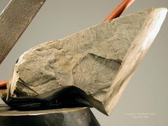 John Van Alstine - Stone in the Heart, Sculpture 2007