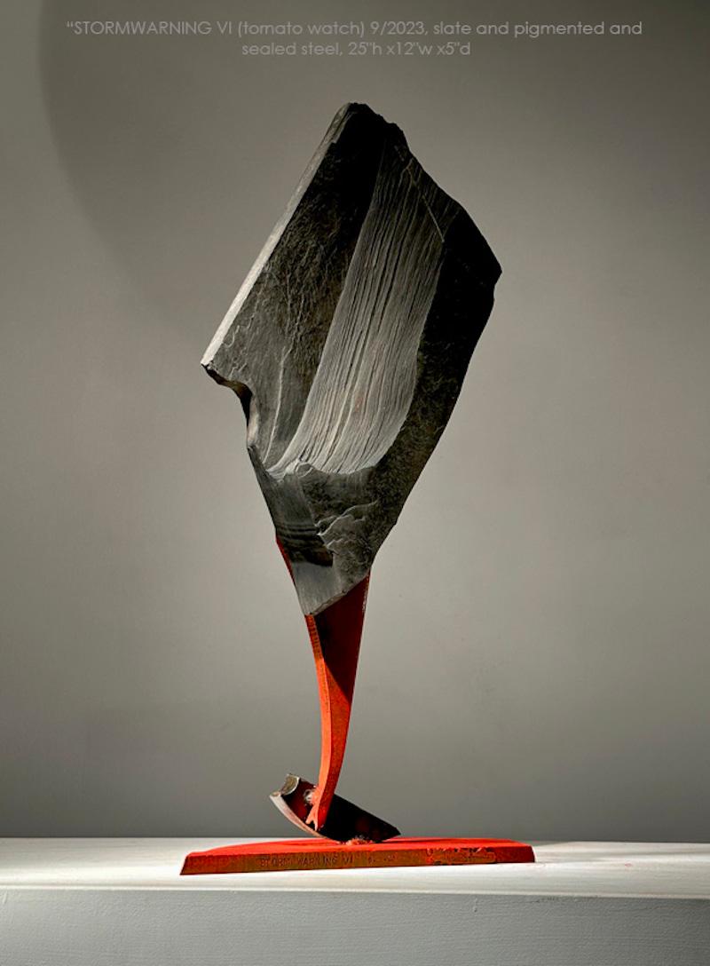 John Van Alstine, Avis de tempête VI, Sculpture 2023 en vente 1