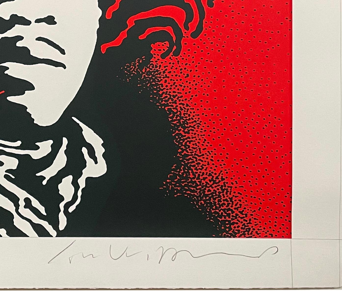 Jimi Hendrix (red), by John Van Hamersveld 2