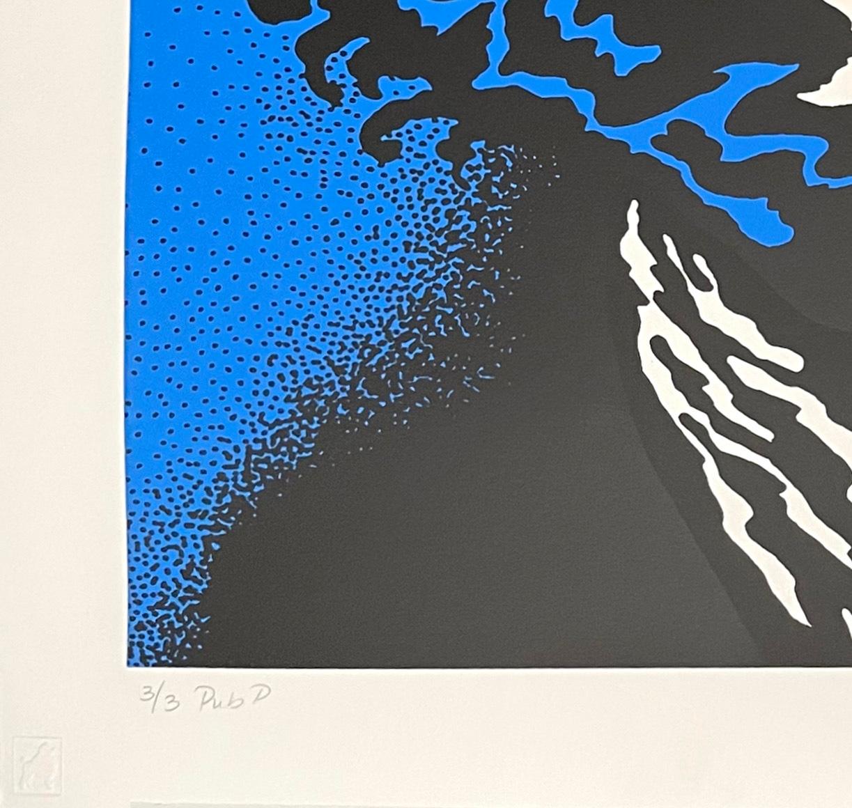 Jimi Hendrix (Blue) - Contemporary Print by John Van Hamersveld