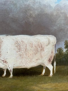 19th century English Folk Art portrait of a White Park prize bull in a landscape