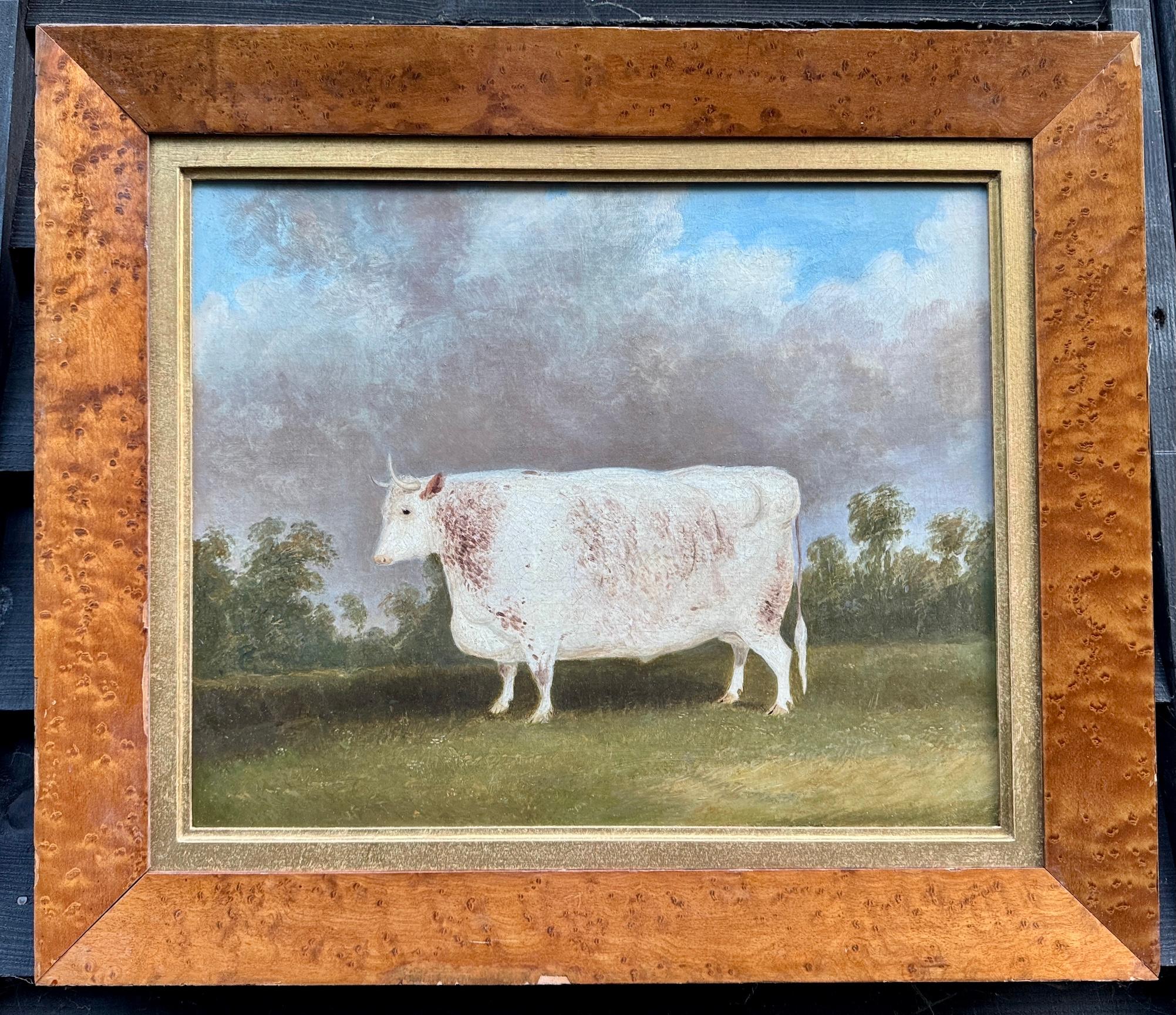 john vine of colchester Landscape Painting - 19th century English Folk Art portrait of a White Park prize bull in a landscape