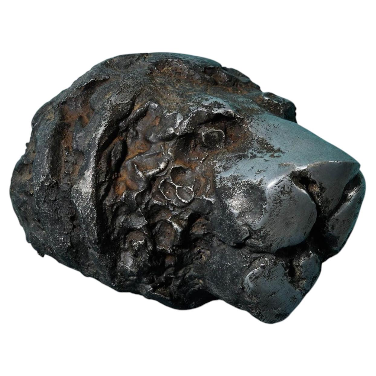 John W. Mills (1933-2023) "Museum Lion" Sculpture en acier