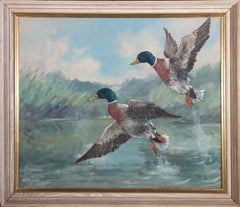 John Weston Gough (1929-2019) - 20th Century Oil, Two Mallard Ducks