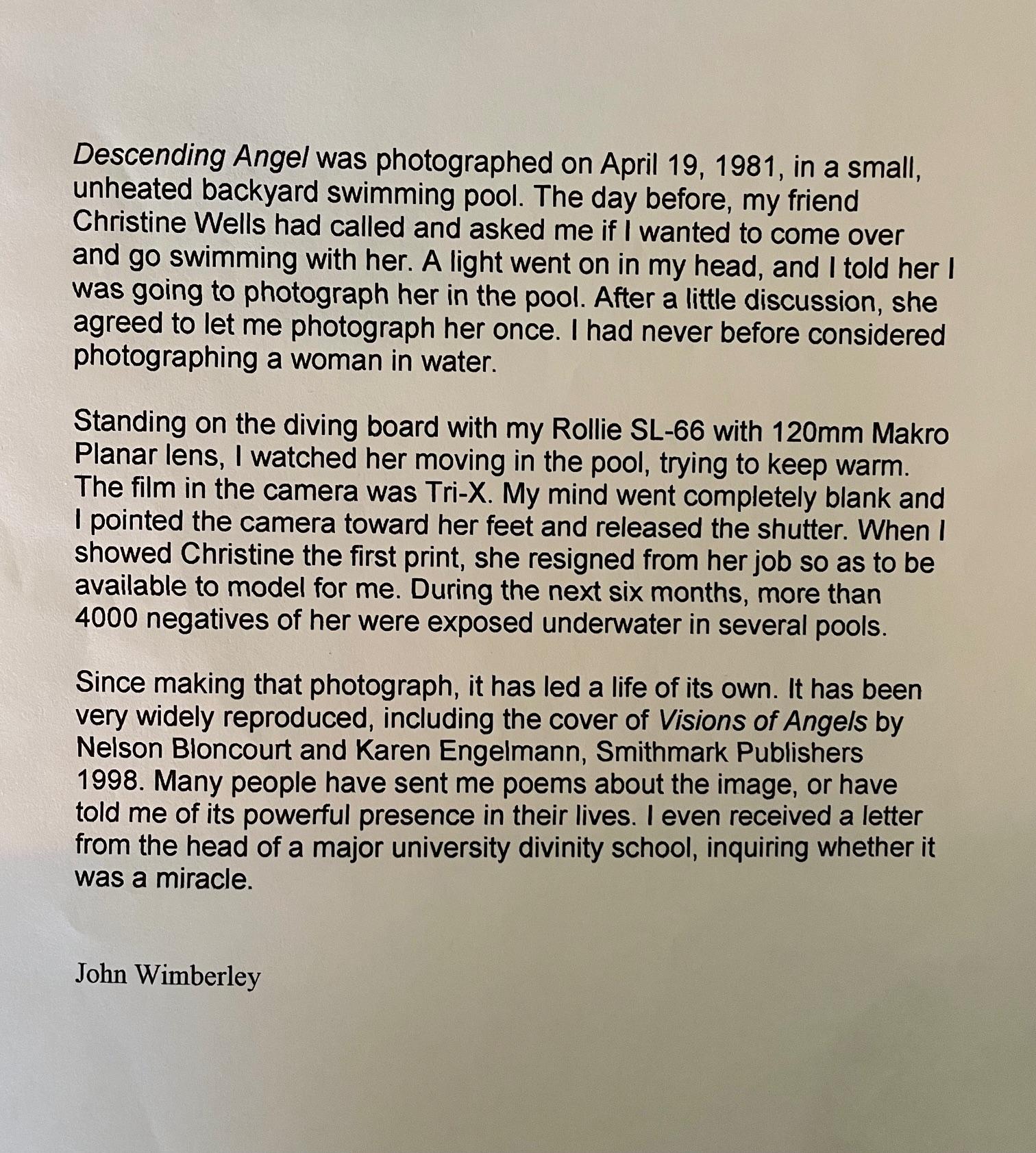 Descending Angel, Luftbildschirm – Photograph von John Wimberley