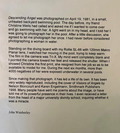 Descending Angel, Etherial