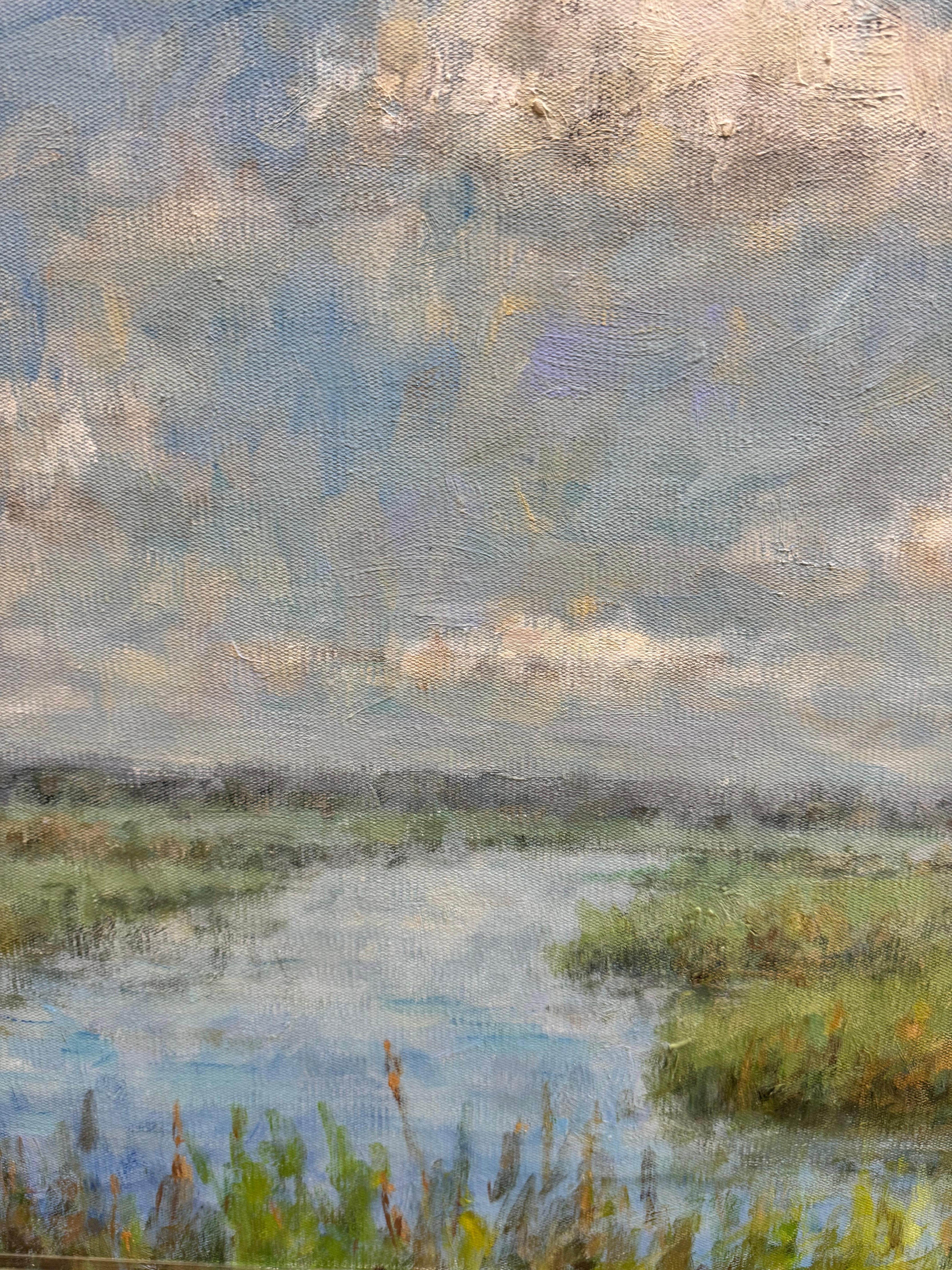 Cool Marshes For Sale 2