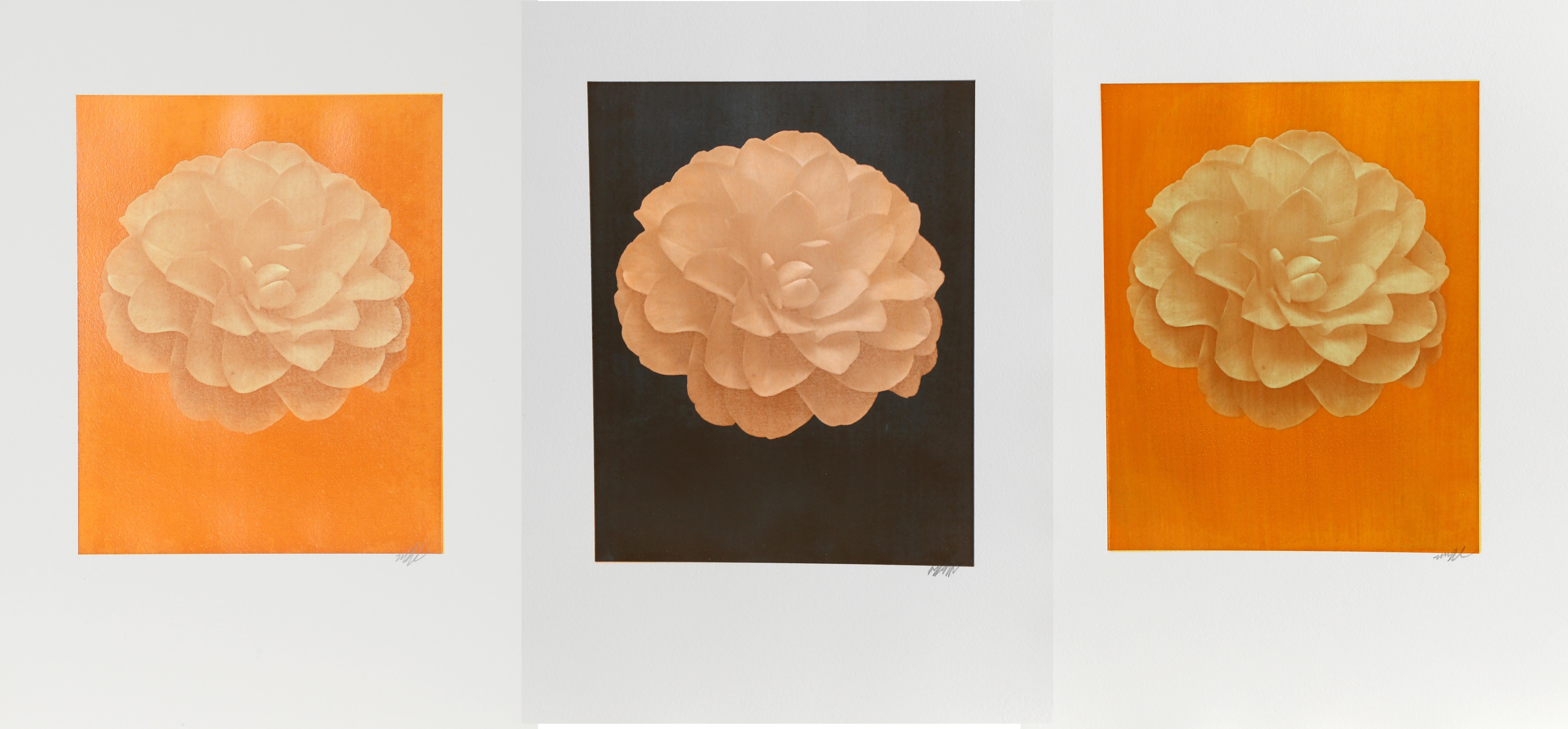 Artiste : Jonathan Singer, américain
Titre : Dahlia blanc sur orange
Année : 2014
Médium : Photographie numérique, signée au crayon
Taille de l'image : 13 x 10 pouces
Taille : 22.5 x 16 in. (57,15 x 40,64 cm)

Artiste : Jonathan Singer,