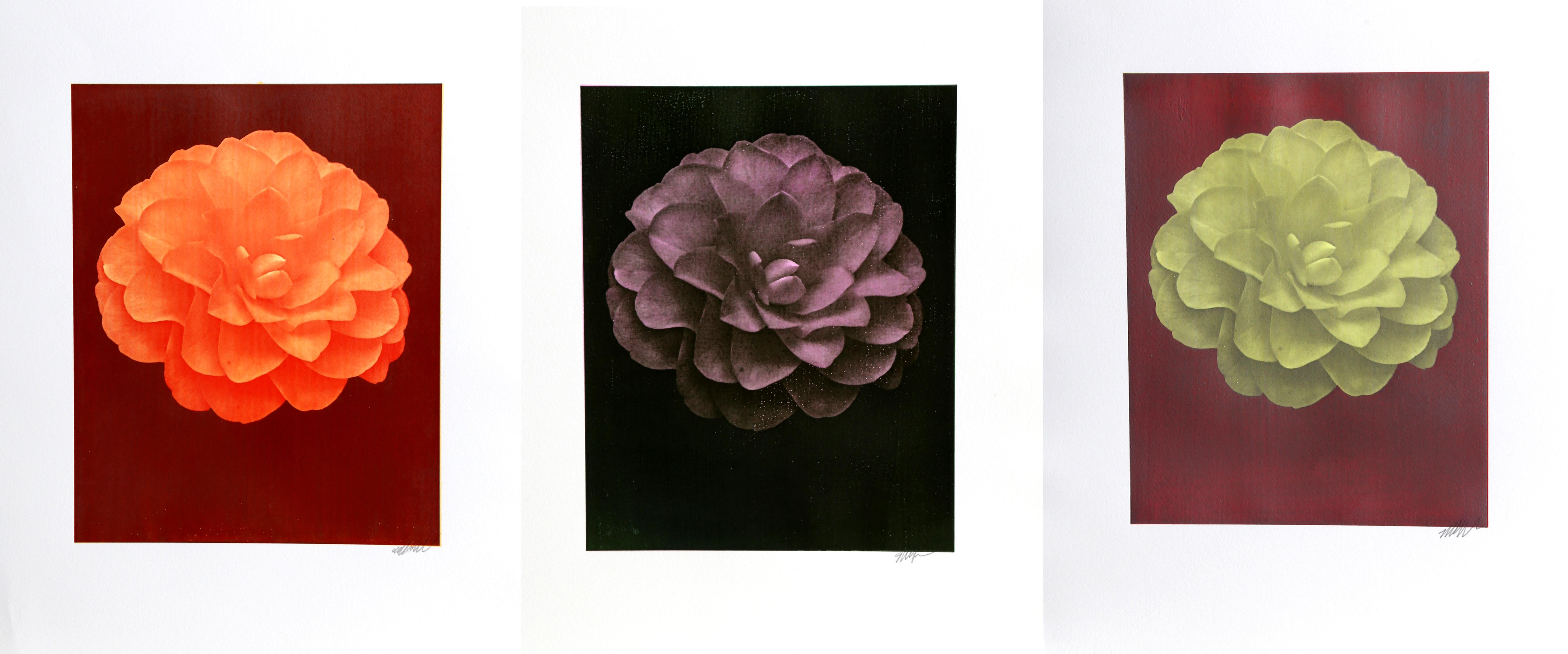 Set of 3 Dahlia Floral Photographs by Jonathan Singer